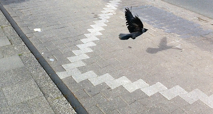 Einladung_Schulstrasse2019_front