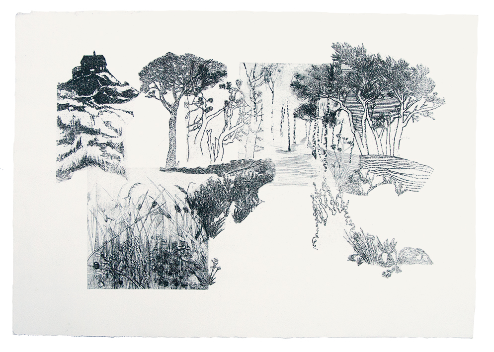 Heyltjes_Feld-Wald-Wiese4_40x56,5_Radierung-Papierlithographie_2020